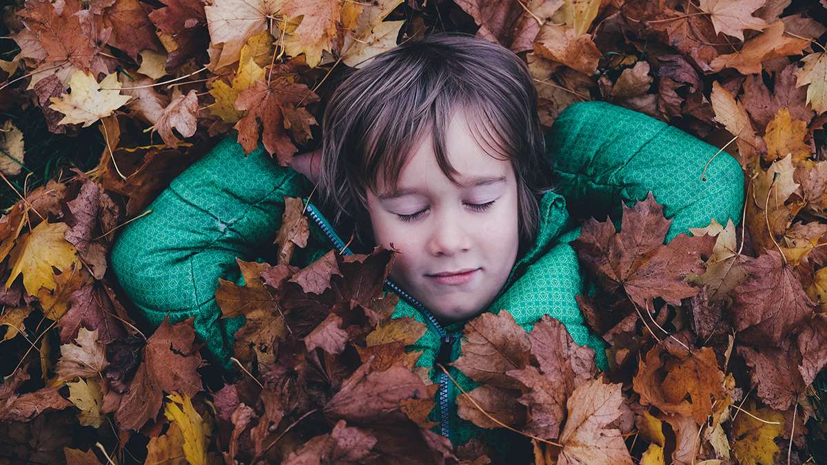 Exploring the Connection between Sleep Problems and Autism